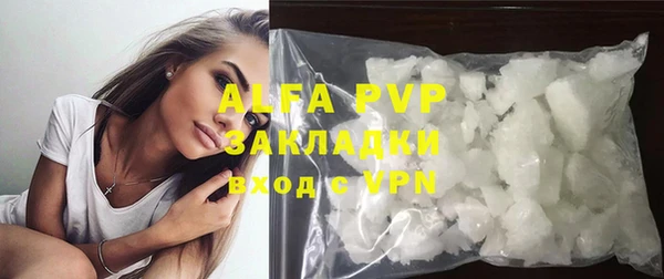 ПСИЛОЦИБИНОВЫЕ ГРИБЫ Белокуриха
