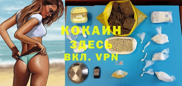 ПСИЛОЦИБИНОВЫЕ ГРИБЫ Белокуриха