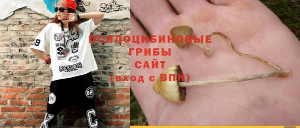 ПСИЛОЦИБИНОВЫЕ ГРИБЫ Белокуриха