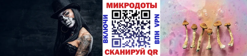 Псилоцибиновые грибы Cubensis  Севск 